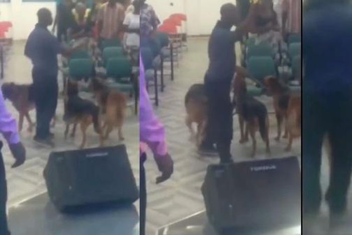 Angry man storms church during prayer and tongue-speaking with 3 wild dogs
