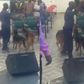 Angry man storms church during prayer and tongue-speaking with 3 wild dogs