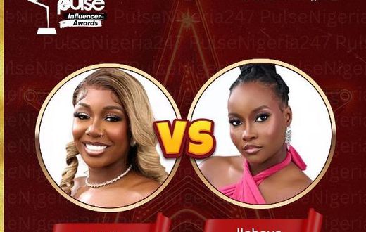 Tolanibaj and Ilebaye have a go at each other over Neo [Instagram/pulsenigeria247]
