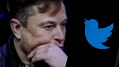 Elon Musk sent Twitter staff a memo on Thursday confirming job cuts would be announced on Friday.Muhammed Selim Korkutata/Getty Images