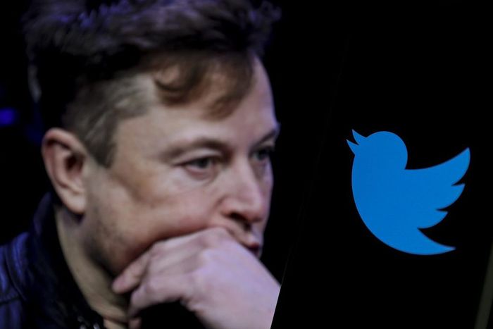 Elon Musk sent Twitter staff a memo on Thursday confirming job cuts would be announced on Friday.Muhammed Selim Korkutata/Getty Images