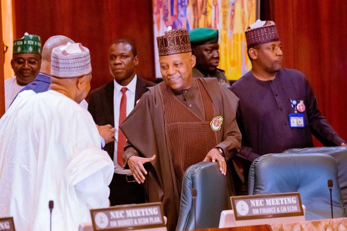 NEC recommends establishment of national flood management council  [Presidency]