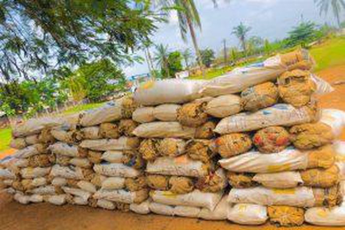 NDLEA recovers hard drugs, nabs 2 wanted kingpins, 1 blind Nigerien and son