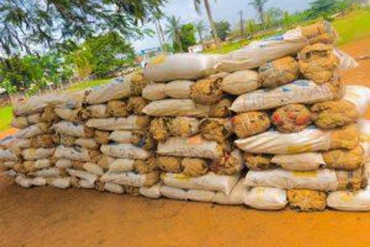NDLEA recovers hard drugs, nabs 2 wanted kingpins, 1 blind Nigerien and son