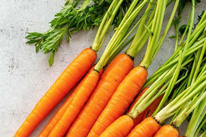 Carrots have a lot of water [jessicagavin]