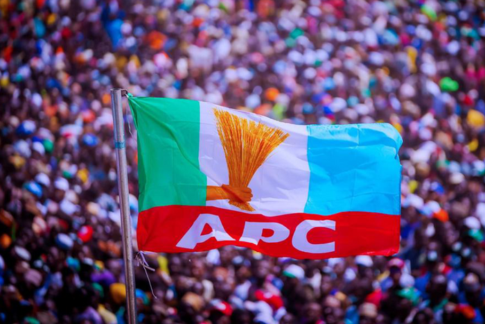 APC-flag