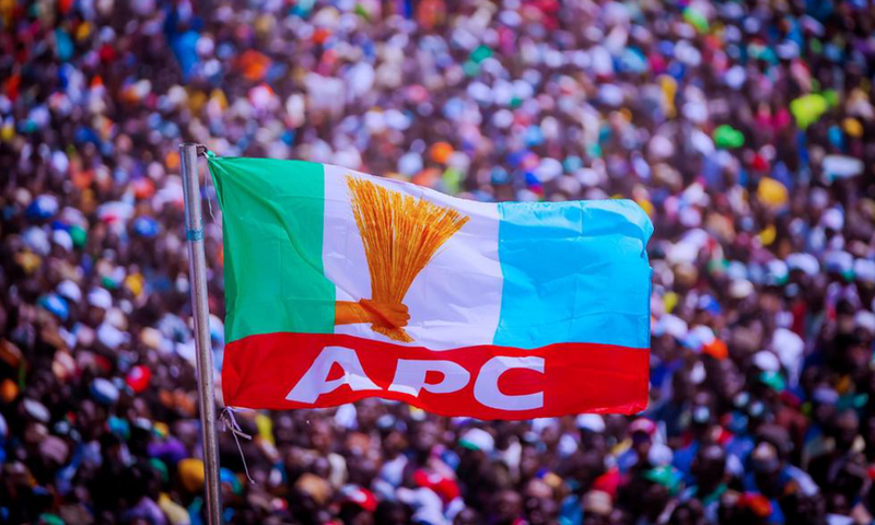 APC-flag