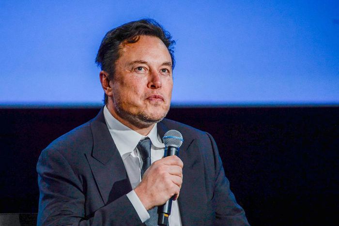 Tesla, SpaceX, and Twitter CEO Elon Musk doesn't seem like he'd have a lot of free time, especially now that he's busy gutting Twitter's staff, fighting with journalists, and instituting strict new rules for both employees and users, all while Tesla is...