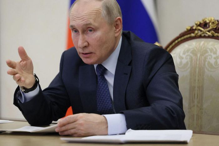 Russian President Vladimir Putin slammed the EU's price cap on Russian crude, calling it "stupid."Mikhail Metzel/Getty Images