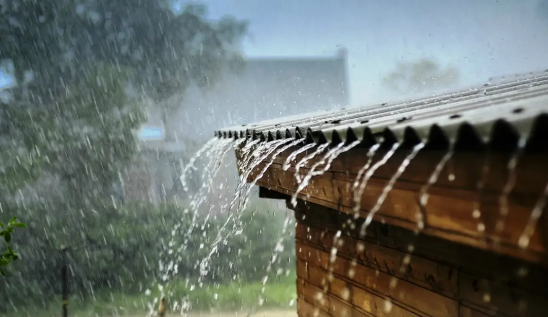 Rainfall [Vanguard News]