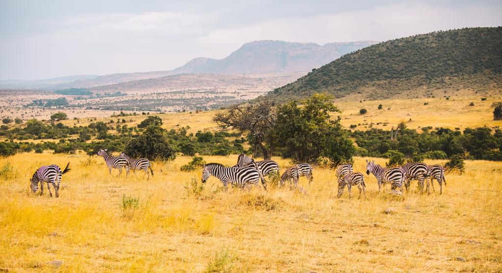 Safari with Xiaomi winners experience the iconic African wilderness, Maasai Mara.