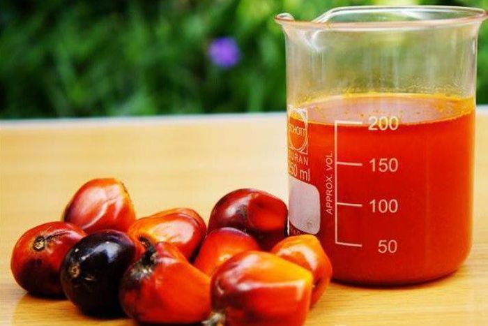 How to extract palm fruit extract for Ofe Akwu and Banga soup