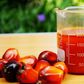 How to extract palm fruit extract for Ofe Akwu and Banga soup