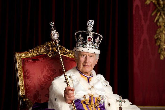 King Charles III's first official portrait as monarch following his coronation on May 6, 2023.Hugo Burnand/Buckingham Palace via Getty Images