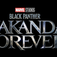 'Black Panther: Wakanda Forever'