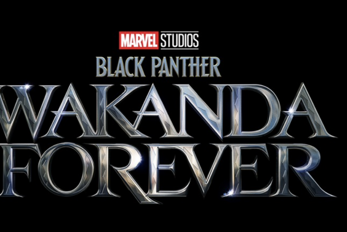 'Black Panther: Wakanda Forever'