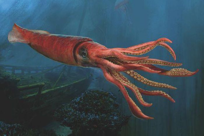 The giant squid was once thought to be a myth but real footage of this beast proves otherwise [Pinterest]