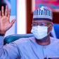 Secretary to the Government of the Federation, Boss Mustapha. [Twitter/@Buharisallau1]