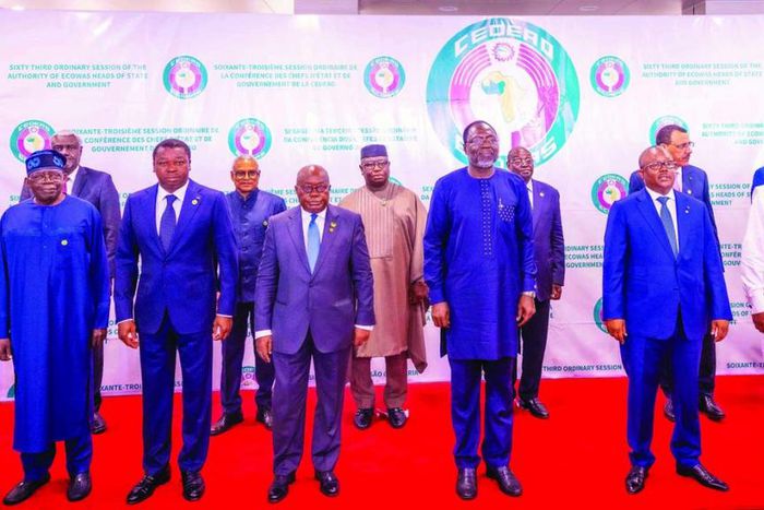 ECOWAS members [Guardian]