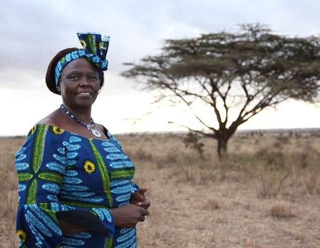 The late Professor Wangari Maathai, Nobel Laureate. Nakuru county will erect a statue at Nyayo Gardens in her honour