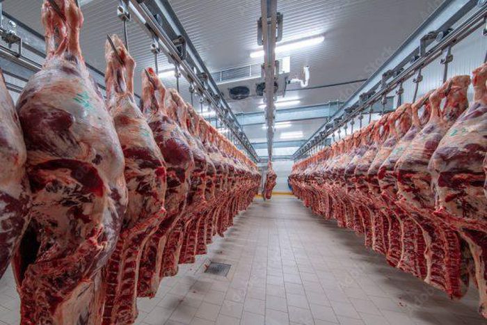 Tanzania meat export