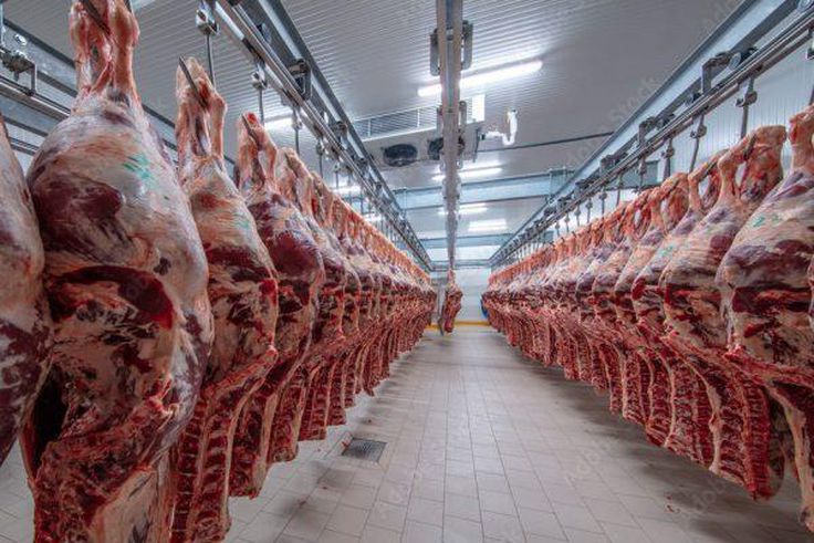 Tanzania meat export