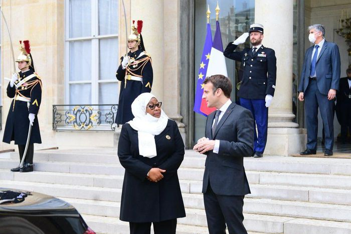 Presidents of France and Tanzania