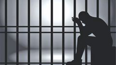Applicant gets 2 months imprisonment for stealing DVD player