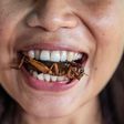 Eating insects in Thailand [bbc]