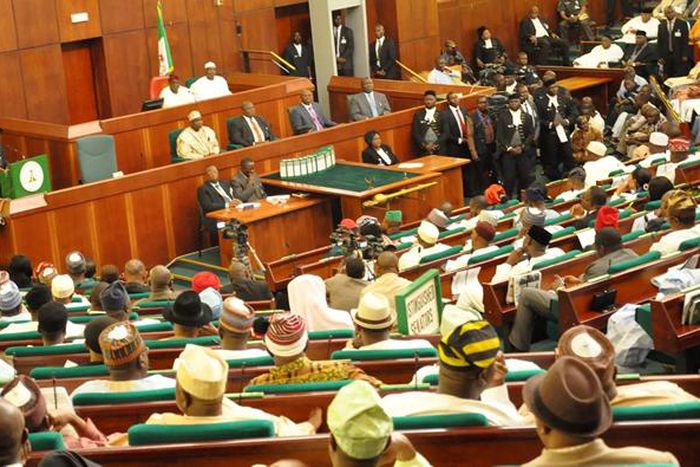 Nigeria's National Assembly. [Punch]