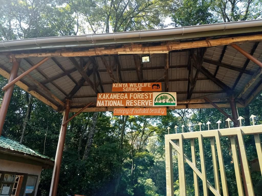 KWS entrance to Kakamega Forest