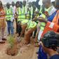 Tree-planinting-exercise-at-Guzape-District-Abuja-on-Tuesday, July 25, 2023 (Credit: NAN)