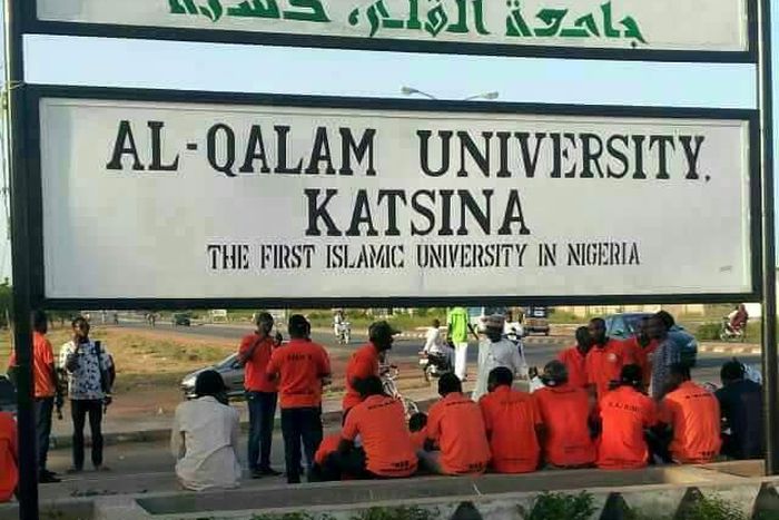 Al-Qalam University Katsina gets accreditation for 13 programmes
