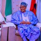 Tinubu visits Buhari in Daura, presents Certificate of Return. [Twitter:@MBuhari]