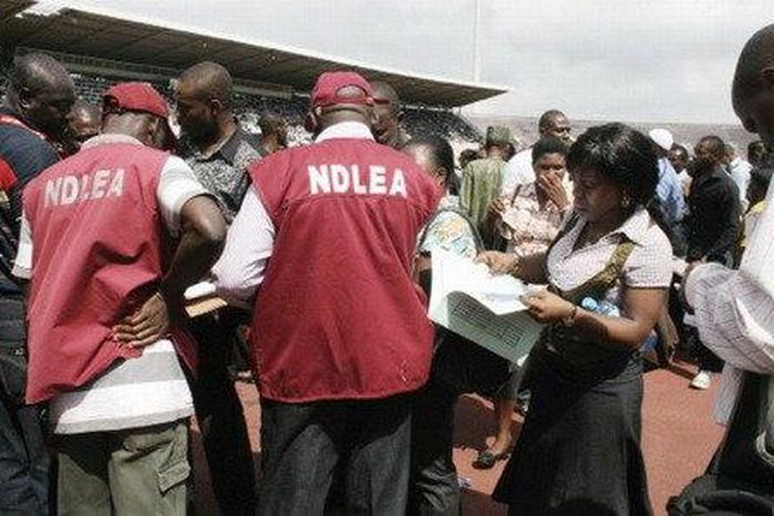 NDLEA officials
