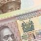 Nigeria and Kenya suffer their worst currency hits in over 20 years as hope seemingly fades