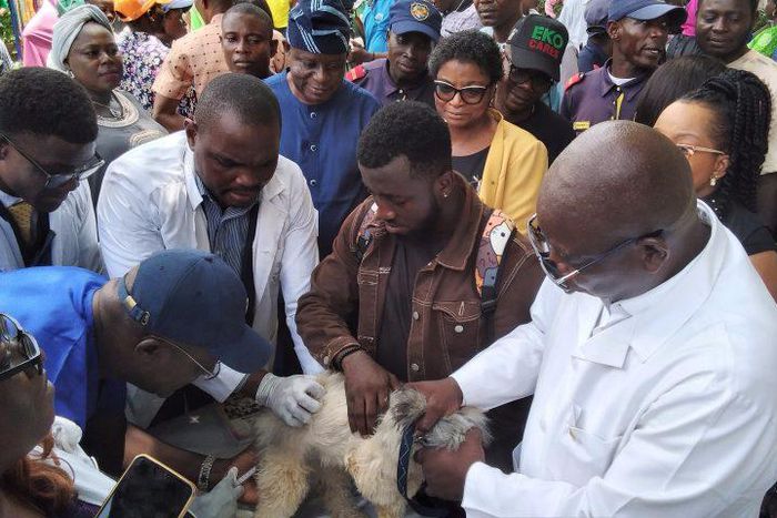 Doctors vaccinating a dog during the flag-off 2023 free mass anti-rabies campaign programme at Igando-Ikotun LCDA on Wednesday in Lagos.(NAN/PHOTO)