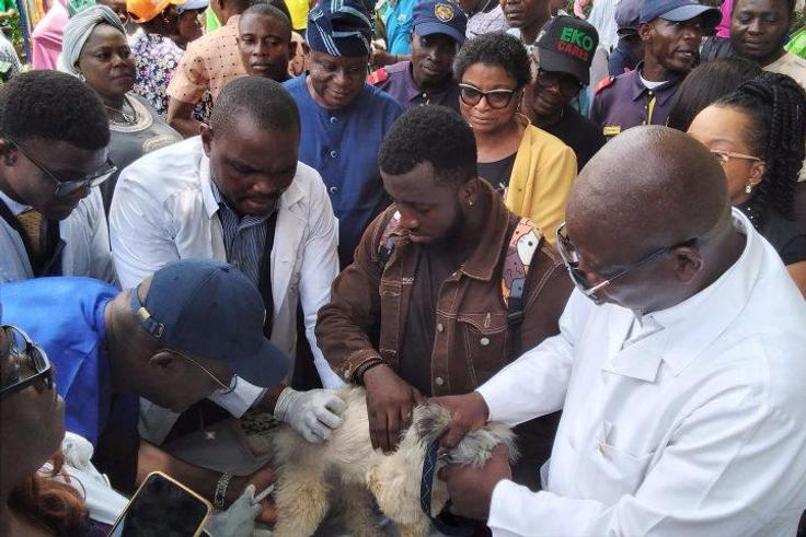 Doctors vaccinating a dog during the flag-off 2023 free mass anti-rabies campaign programme at Igando-Ikotun LCDA on Wednesday in Lagos.(NAN/PHOTO)