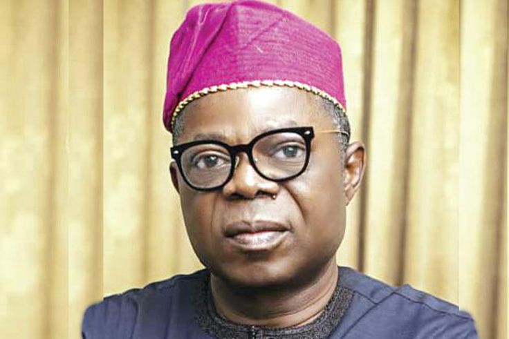 Dr Olayide Adelami, Deputy Governor of Ondo State [Punch Newspapers]