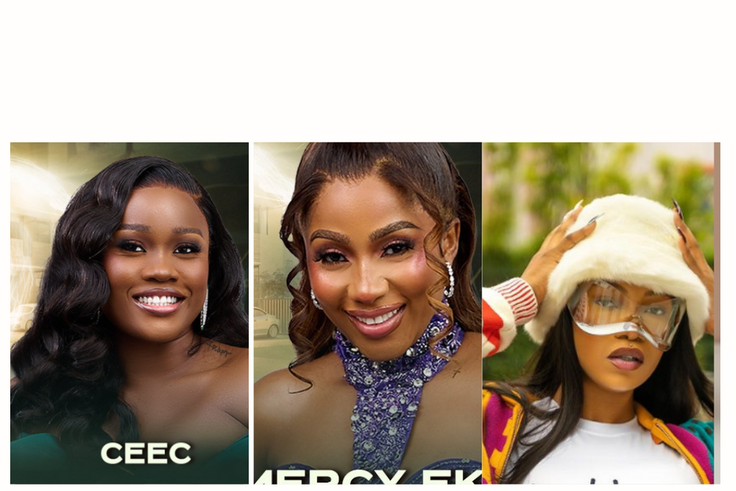 Cee-C affirms Mercy's on her previous season on BBNaija All Stars. [Instagram/bigbronaija and symply_tacha]
