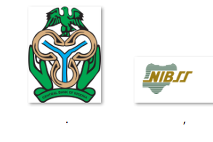 CBN, NIBSS set to transform African payment ecosystem with brand unveil of domestic card scheme.