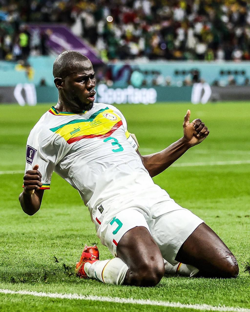 Captain fantastic Koulibaly celebrates.