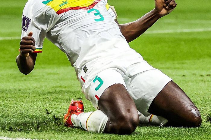 Captain fantastic Koulibaly celebrates.