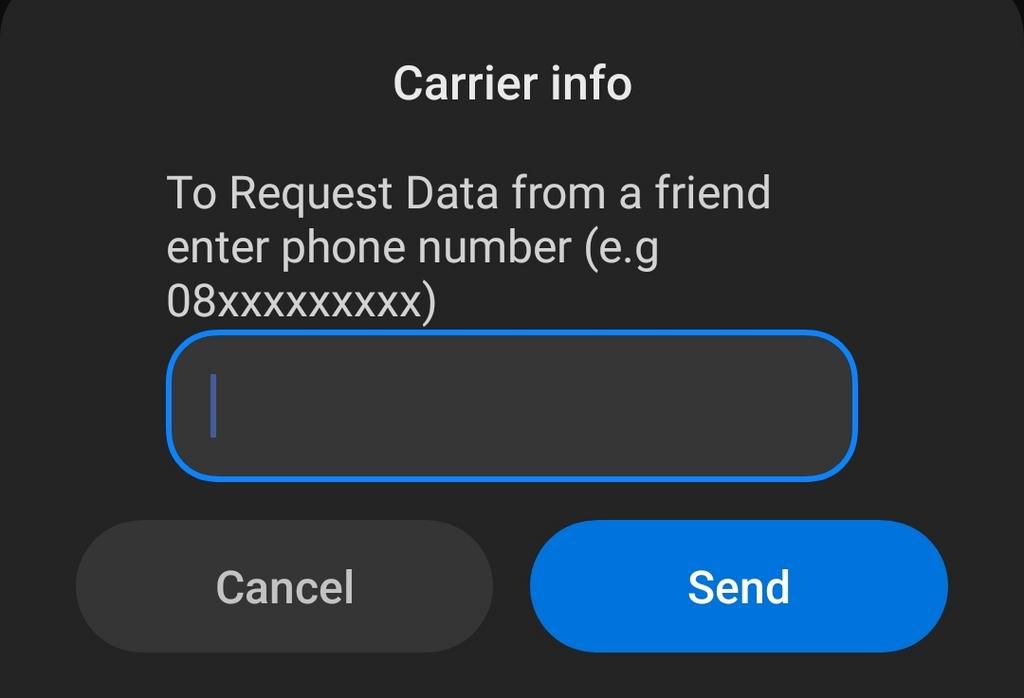 Type in the phone number of the person you want to request MTN data from [Pulse Nigeria]
