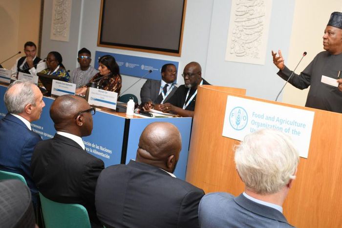Vp Shettima at the UN food summit (Credit: NAN)