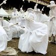 The Eyo festival in Lagos Island [owlification]
