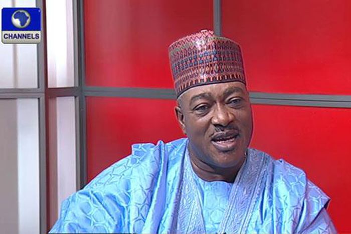 Former DSS Director, Mike Ejiofor  [Channels TV]