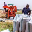 Wheat farmers in Kaduna commend FG’s 50% subsidy on inputs. [Guardian]
