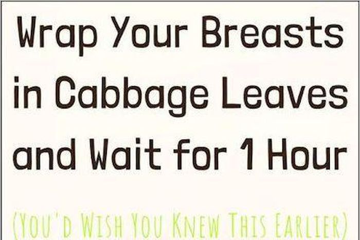 Why women put cabbage leaves on their breasts/Courtesy