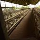 Poultry